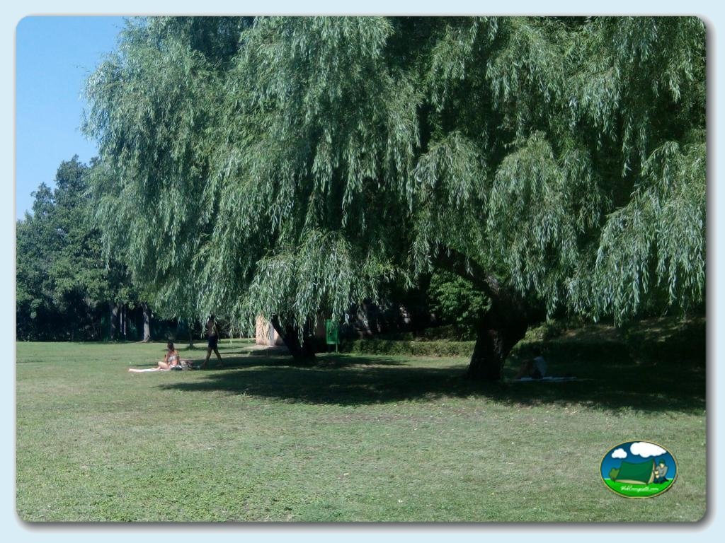 Camping La Dehesa