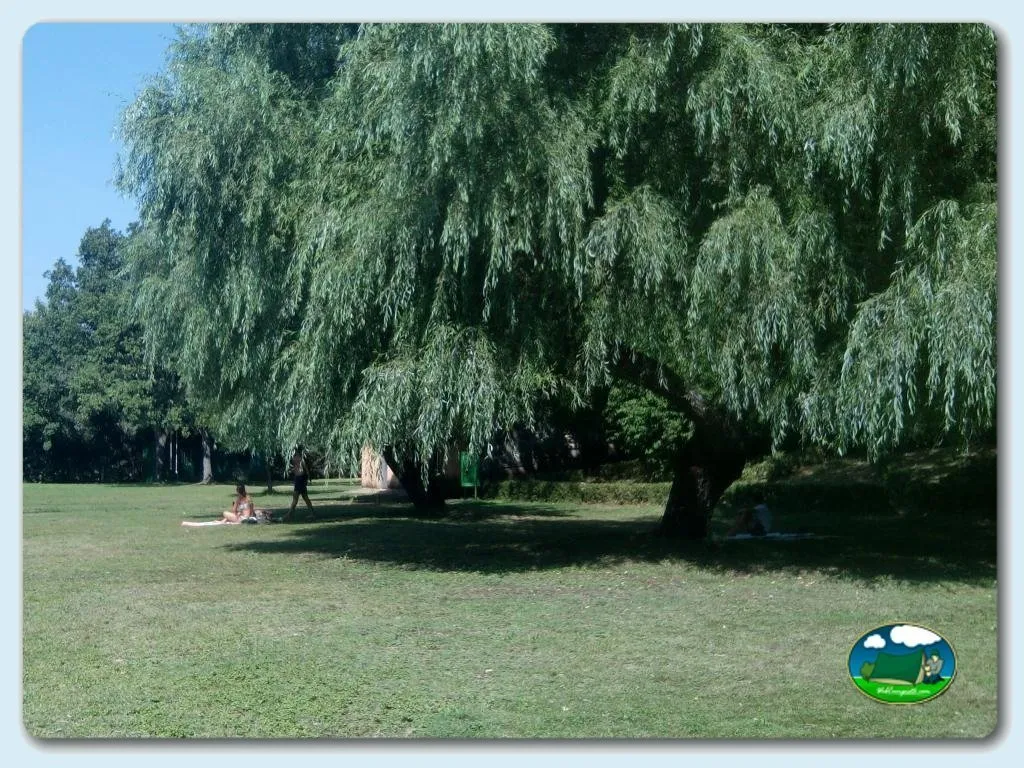 Camping La Dehesa