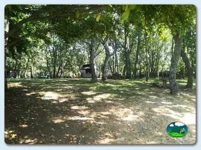 Parcela arbolada con sombra del Camping La Dehesa, Agallas (Salamanca)