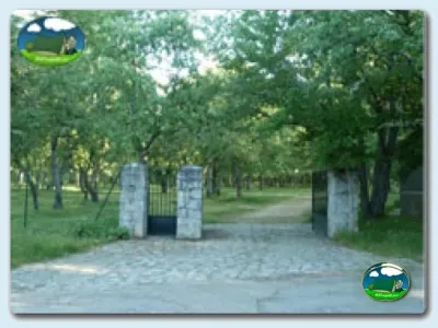 Entrada del recinto con arboleda del Camping La Dehesa, Agallas (Salamanca)