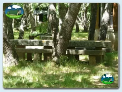 Parcela arbolada con mesas de picnic del Camping La Dehesa, Agallas (Salamanca)