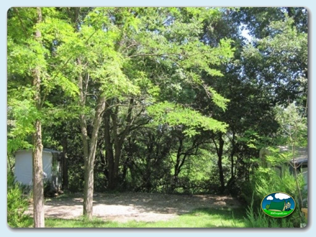 Camping Besalú foto de Parcelas