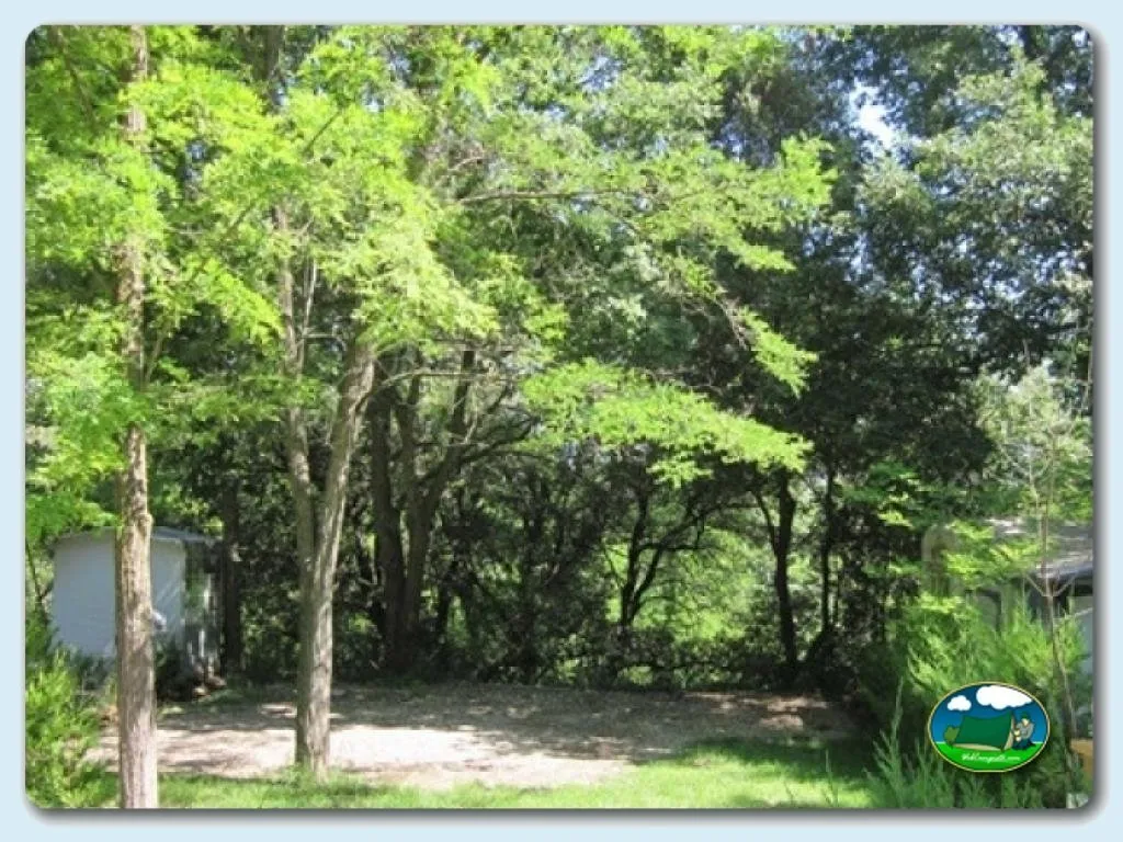 Camping Besalú