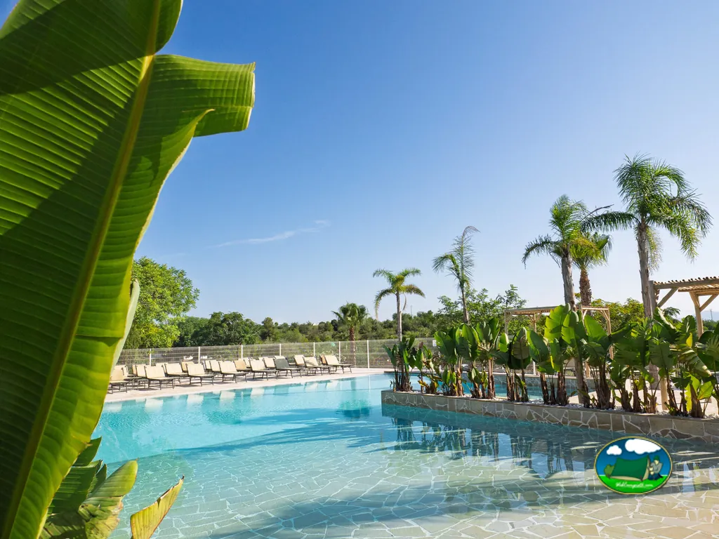 Piscina con tumbonas y palmeras del Camping L´Orangeraie, Cálig (Castellón)