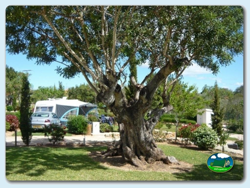 Camping L´Orangeraie foto de PARCELAS