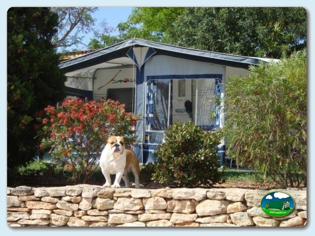 Camping L´Orangeraie foto de PARCELAS