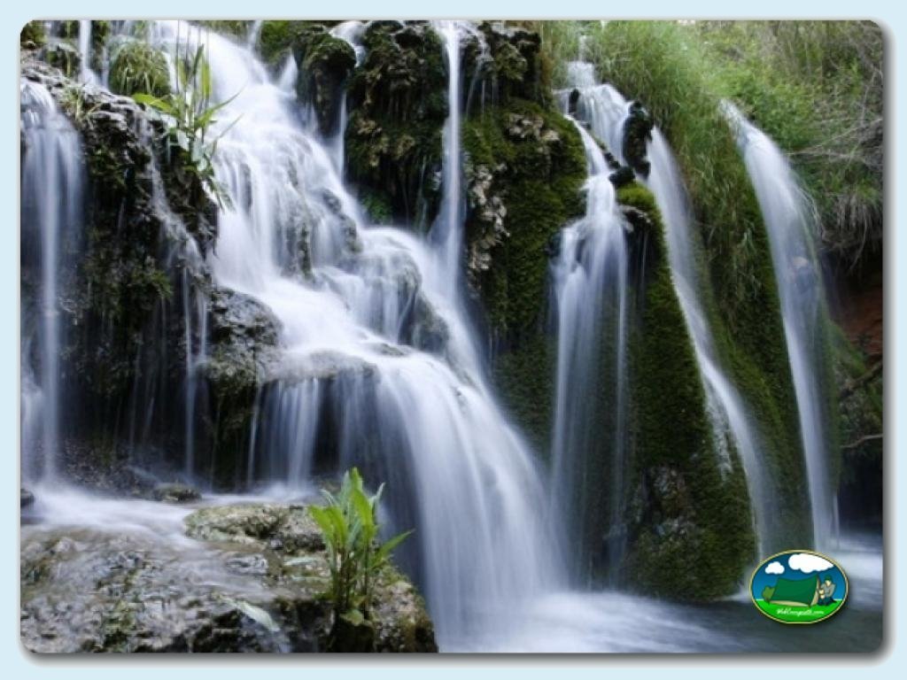 foto de Camping Fonts De L'Algar (Callosa d'en Sarrià) 