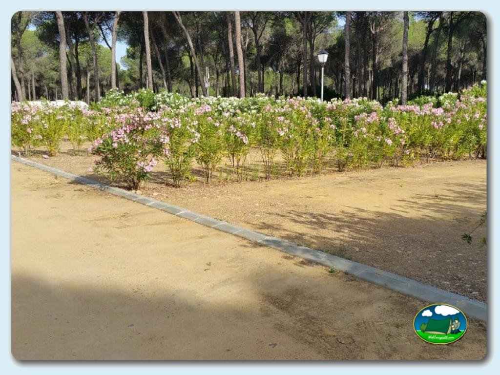 Camping Village Doñarrayan Park