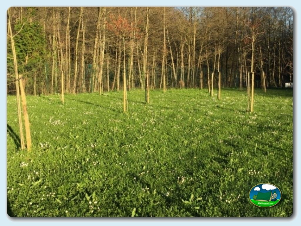 foto del camping Camping Igara de San Sebastián
