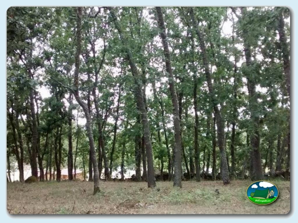 Camping Las Casitas de las Arribes foto de Parcelas