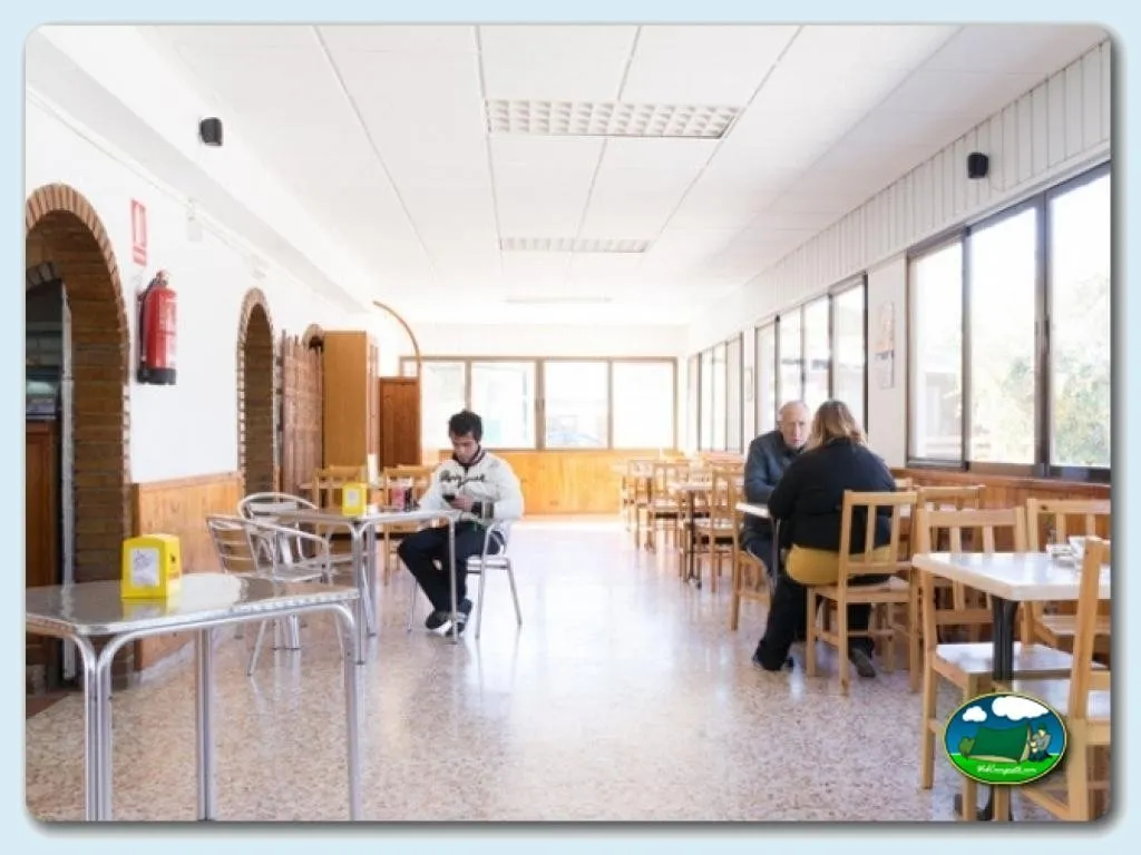 Restaurante interior con mesas y sillas de madera del Camping Valencia El Saler, El Saler (Valencia)