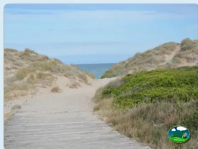 Playa junto al mar, acceso por pasarela de madera entre dunas del Camping Valencia El Saler, El Saler (Valencia)