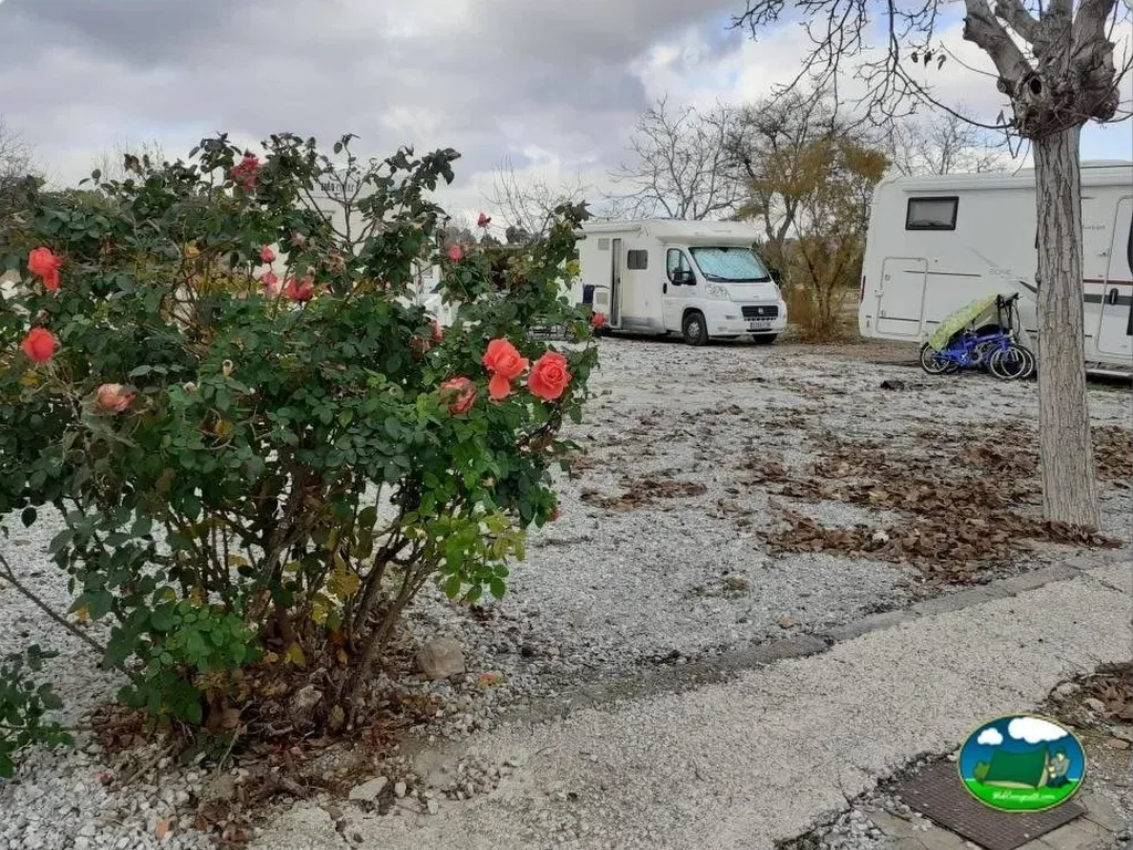 Parcela con mobil-home y flores del Camping Rural La Cabañuela, Freila (Granada)