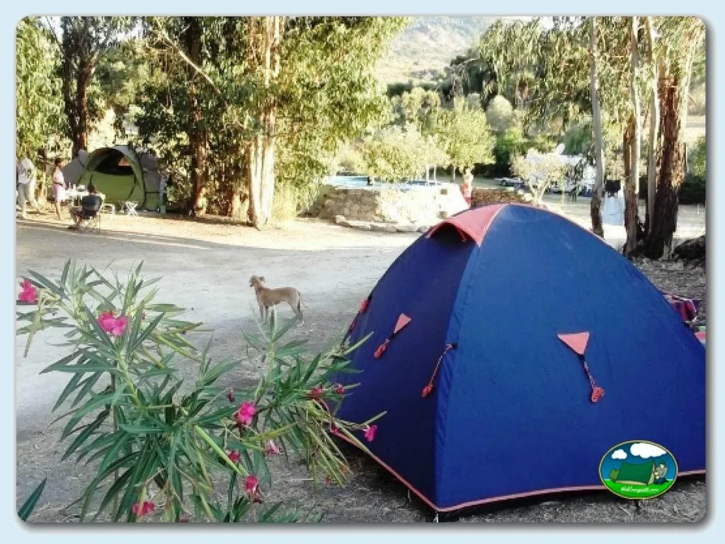 Parcela con tienda de acampada entre árboles del Camping Beira Marvao Alentejo, Beira (Faro)
