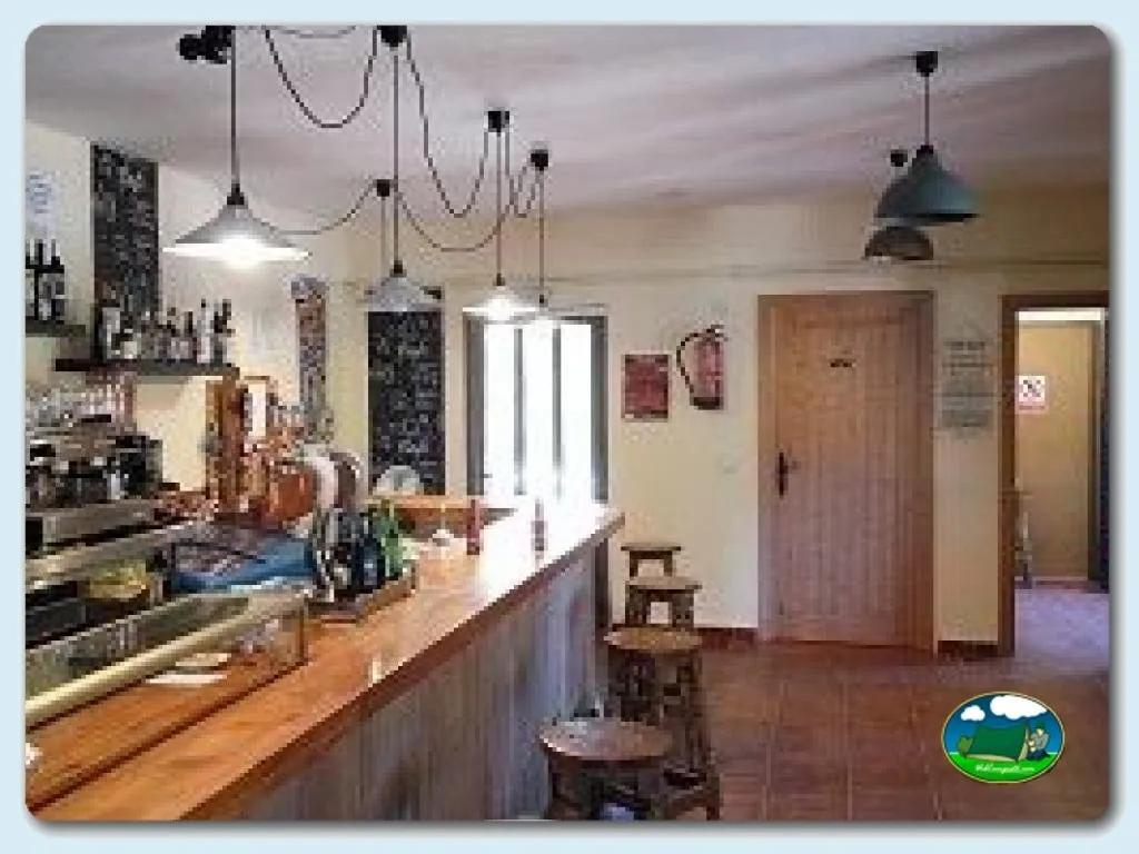 Restaurante bar interior con barra de madera del Camping Los Bonales, Cantalojas (Guadalajara)