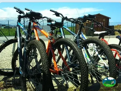 Bicicletas de alquiler en el recinto del Camping Rinlo, Rinlo (Lugo)