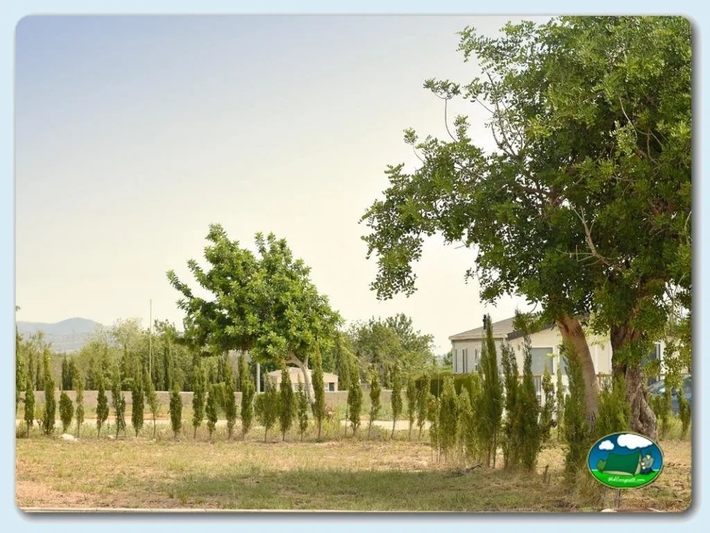 Camping Los Olivos en Alcalá de Xivert, Castellón, Castellón - imagen 3