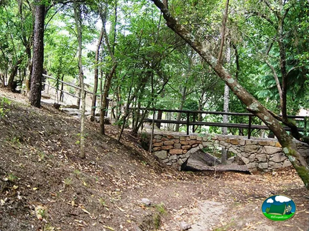 Parcela en entorno arbolado con camino del Camping Gêres Green Park, Cabril (Viana Do Castelo)