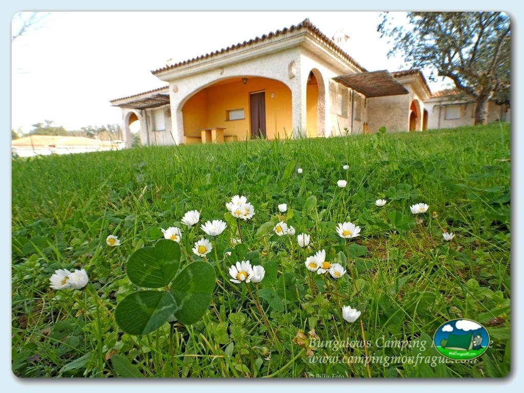 Camping  Monfrague foto de Bungalow tipo 1&nbsp;