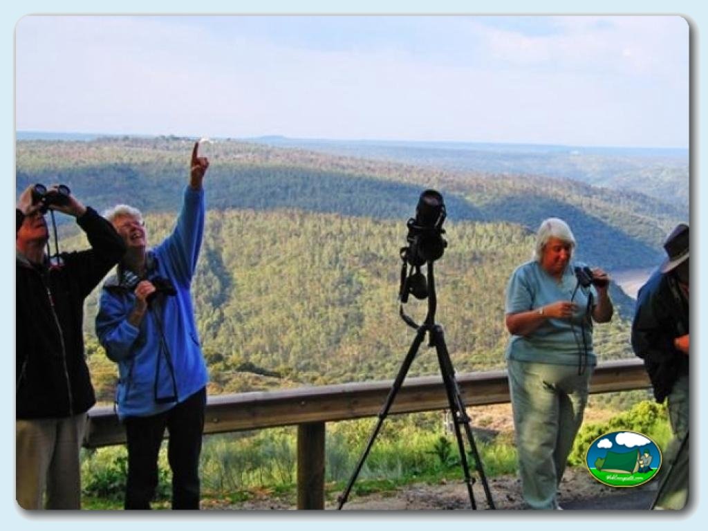 Camping  Monfrague foto de Entorno