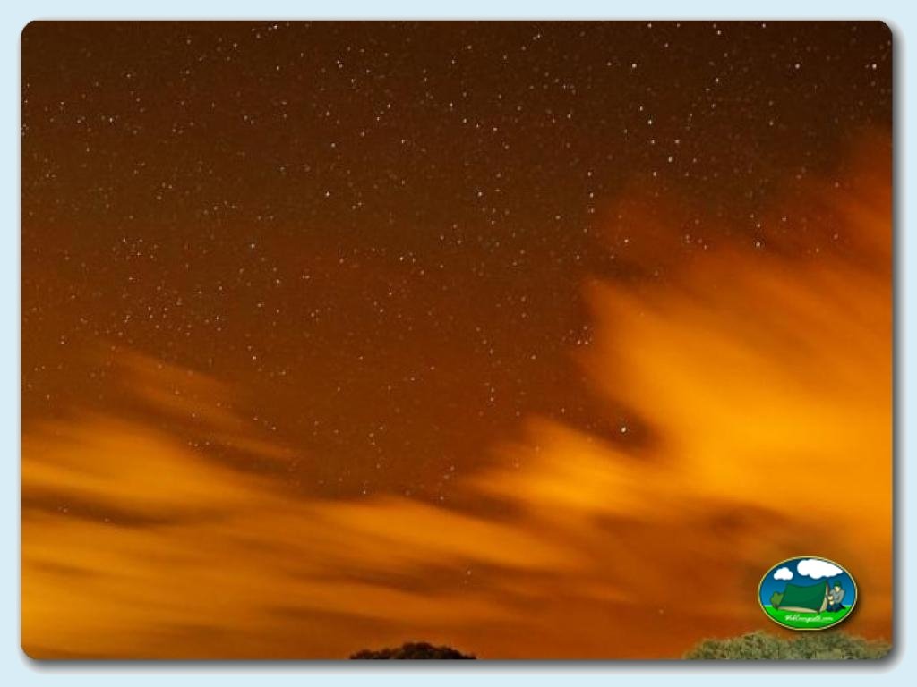 Camping  Monfrague foto de Entorno