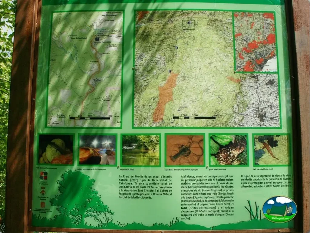 Plano del recinto con mapa de la zona del Camping Puigcercós, Borredà (Barcelona)