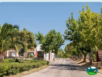 Bungalow con parcelas arboladas y camino central del Camping Idanha-a-Nova, Idanha (Castelo Branco)