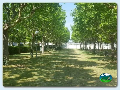 Parcela arbolada con sombra del Camping San Jorge, Huesca (Huesca)