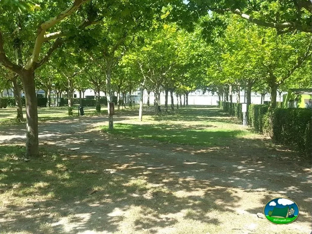 Parcela arbolada con sombra del Camping San Jorge, Huesca (Huesca)