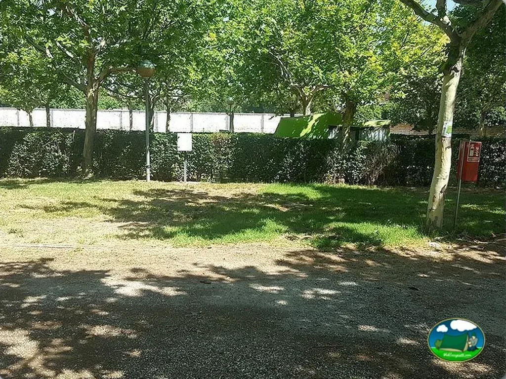 Parcela con árboles y sombra del Camping San Jorge, Huesca (Huesca)