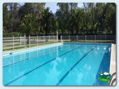 Piscina olímpica con vistas a palmeras del Camping La Chopera, Plasencia (Cáceres)