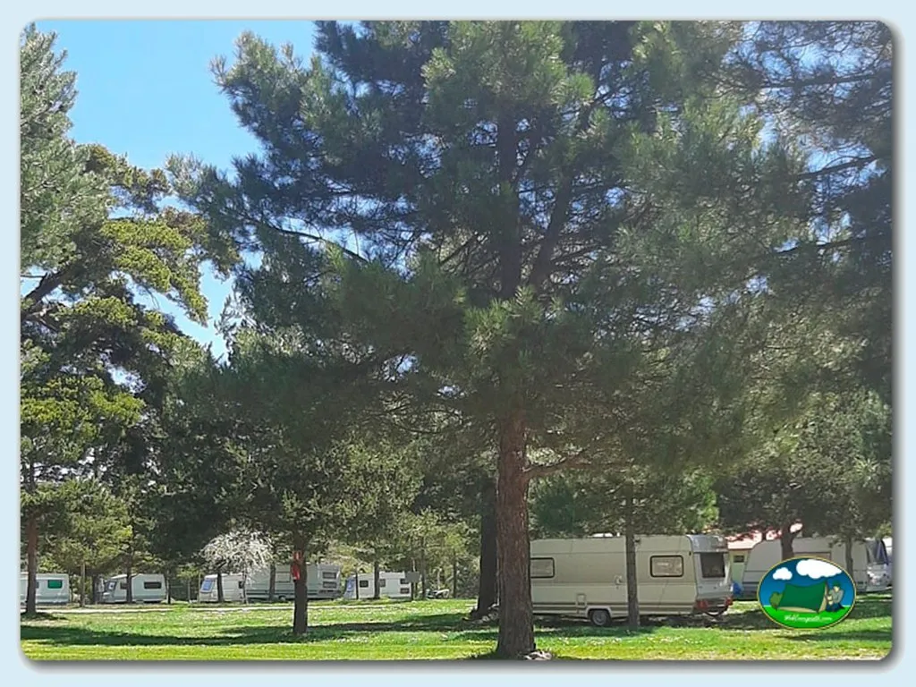 Camping Algarbe en Terriente