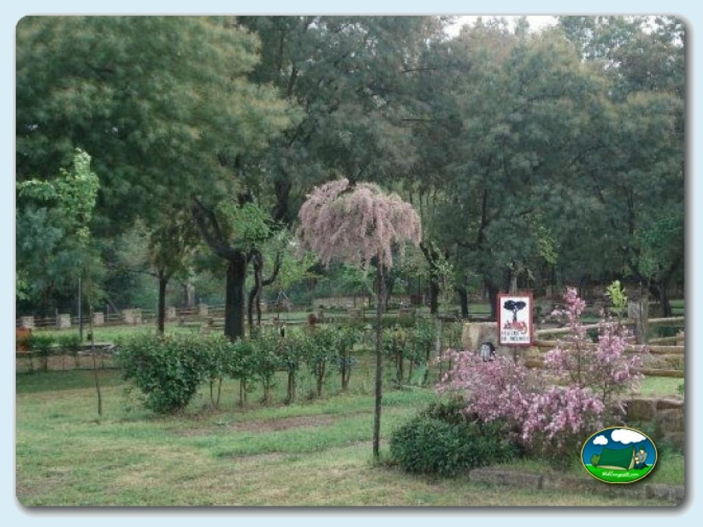Camping Borbollón en Santibañez el Alto (Cáceres)