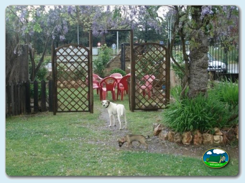 foto del camping Camping Borbollón