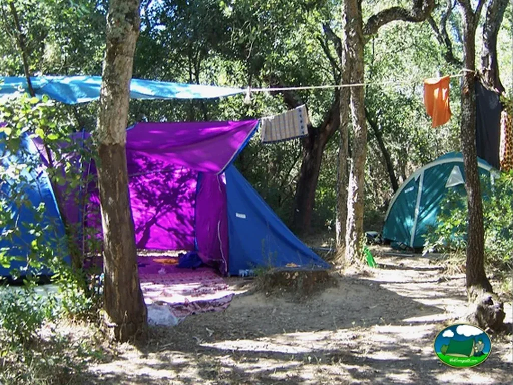 Parcela con tiendas de acampada bajo árboles del Camping Silveira, Alcobaça (Leiria)
