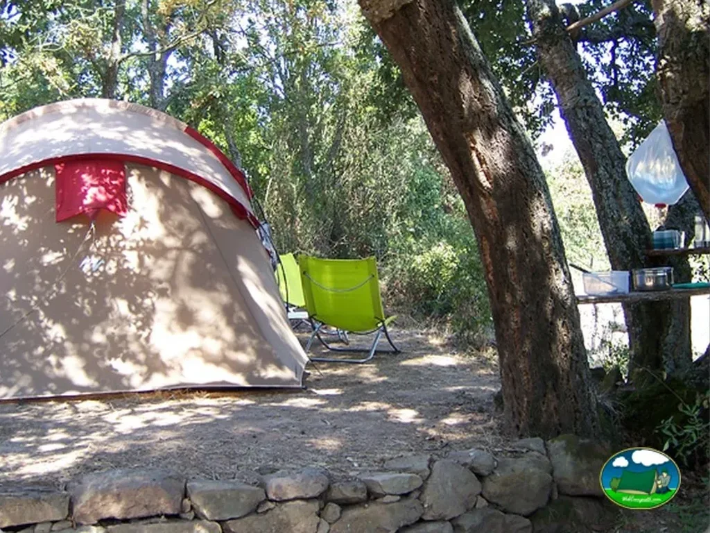 Parcela con tienda de acampada bajo árboles del Camping Silveira, Alcobaça (Leiria)