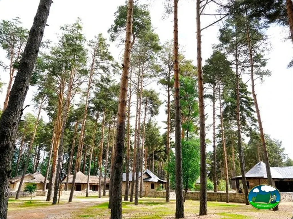Glamping entre pinos con vistas al bosque del Camping Alvao Village Camping, Vila Pouca de Aguiar (Vila Real)