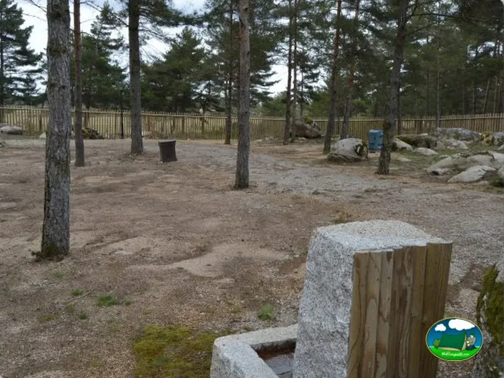Parcela arbolada con zona de acampada del Camping Alvao Village Camping, Vila Pouca de Aguiar (Vila Real)