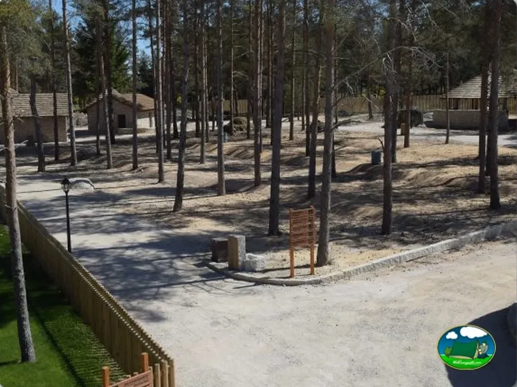 Parcela entre pinos con zona de sombra del Camping Alvao Village Camping, Vila Pouca de Aguiar (Vila Real)