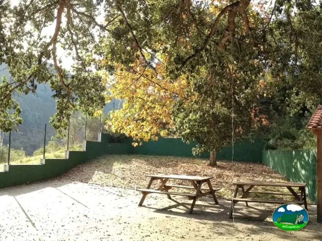 Parcela con árboles y mesas de picnic del Camping Góis Camping, Góis (Coimbra)