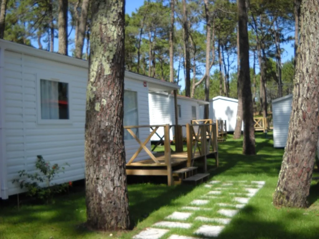 Mobil-home entre pinos con terraza del Camping Orbitur Valado, Nazaré (Leiria)