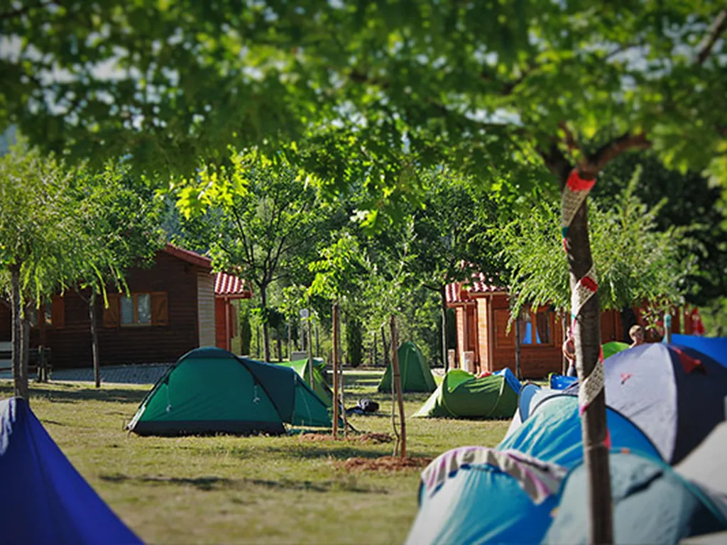 Parcelas con tiendas de acampada bajo árboles del Camping Oleiros, Oleiros (Castelo Branco)