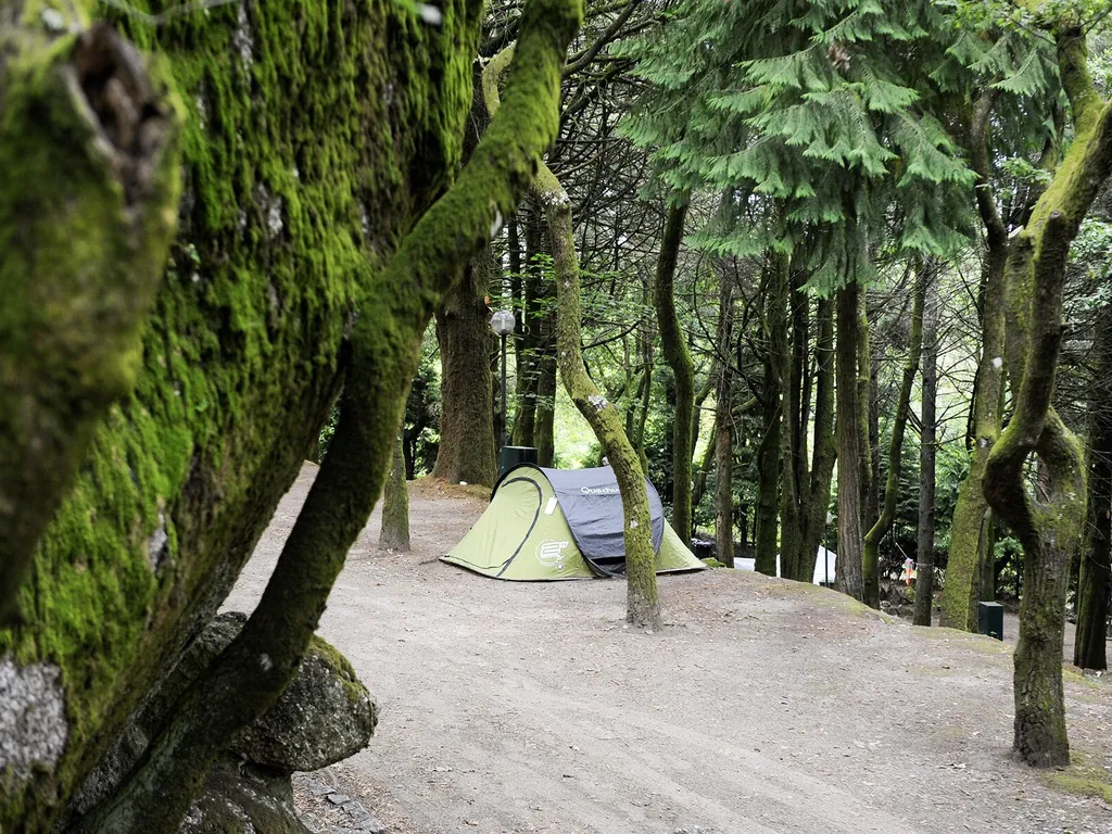 Tienda de acampada en parcela arbolada entre pinos del Camping Parque de Campismo da Penha, Guimarães (Braga)