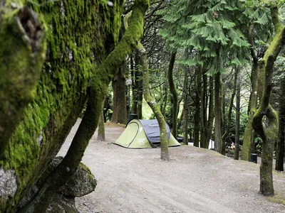 Tienda de acampada en parcela arbolada entre pinos del Camping Parque de Campismo da Penha, Guimarães (Braga)