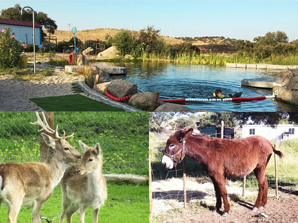 Río con actividades acuáticas, animales de granja y parque infantil del Camping Alqueva Rural Eco, Vidigueira (Beja)
