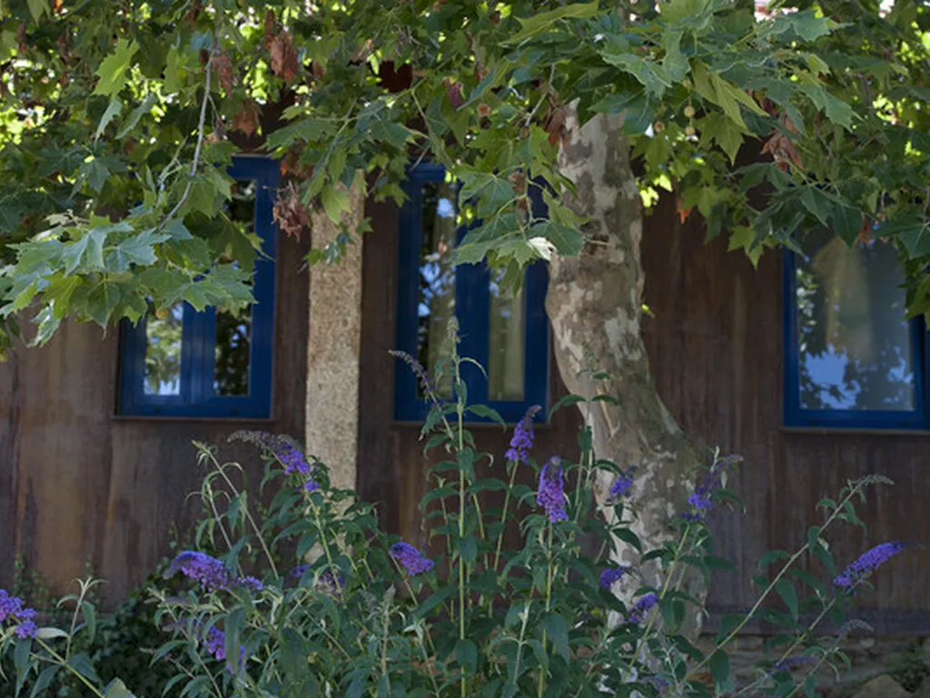 Cabaña con flores silvestres y enredadera del Camping Quinta dos Moinhos, Cabeceiras de Basto (Braga)