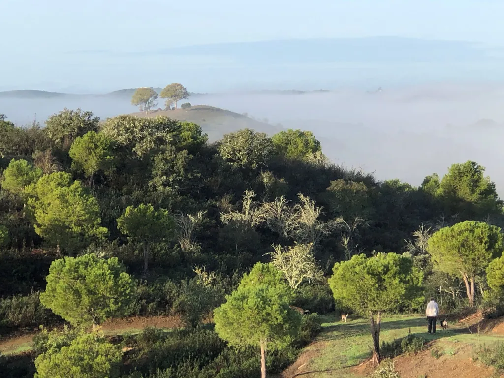 Montaña con vistas panorámicas y parcelas arboladas del Camping Shamwari Hilltop Retreat, Alcoutim (Faro)