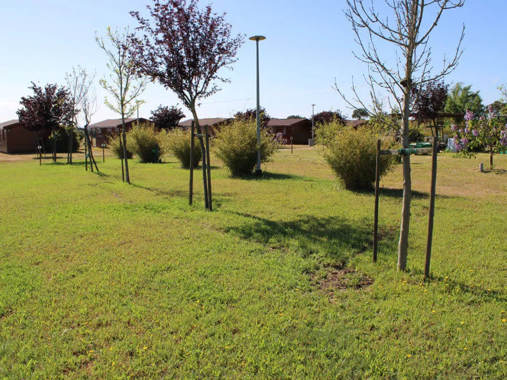 Parcela con árboles jóvenes y alojamientos del Camping Sorte Verde - Alentejo Tourism, Reguengos de Monsaraz (Évora)