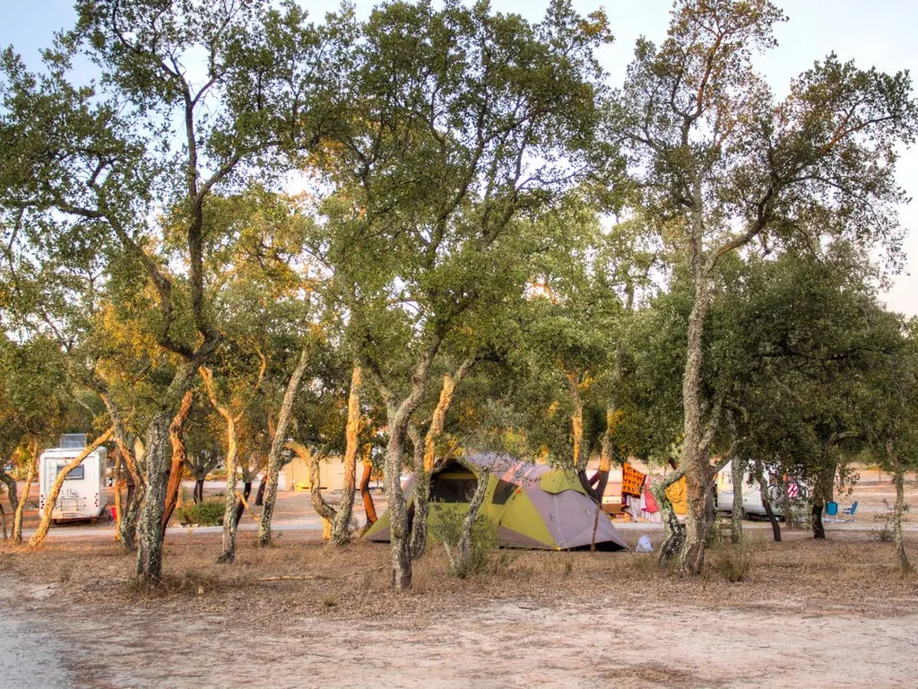 Parcela con tienda de acampada entre árboles del Camping Monte Naturista O Barão, Ferreira do Alentejo (Beja)