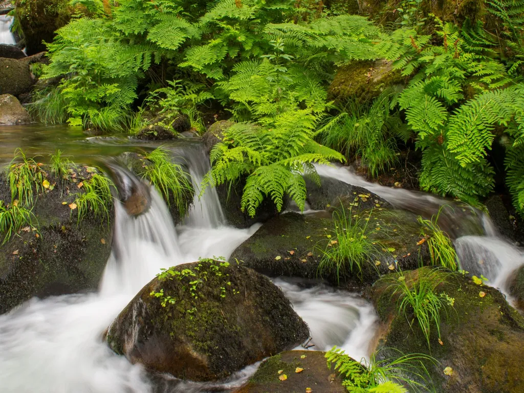 Río con cascadas y vegetación frondosa del Camping Parque de Campismo e Caravanismo de Vouzela, Vouzela (Viseu)